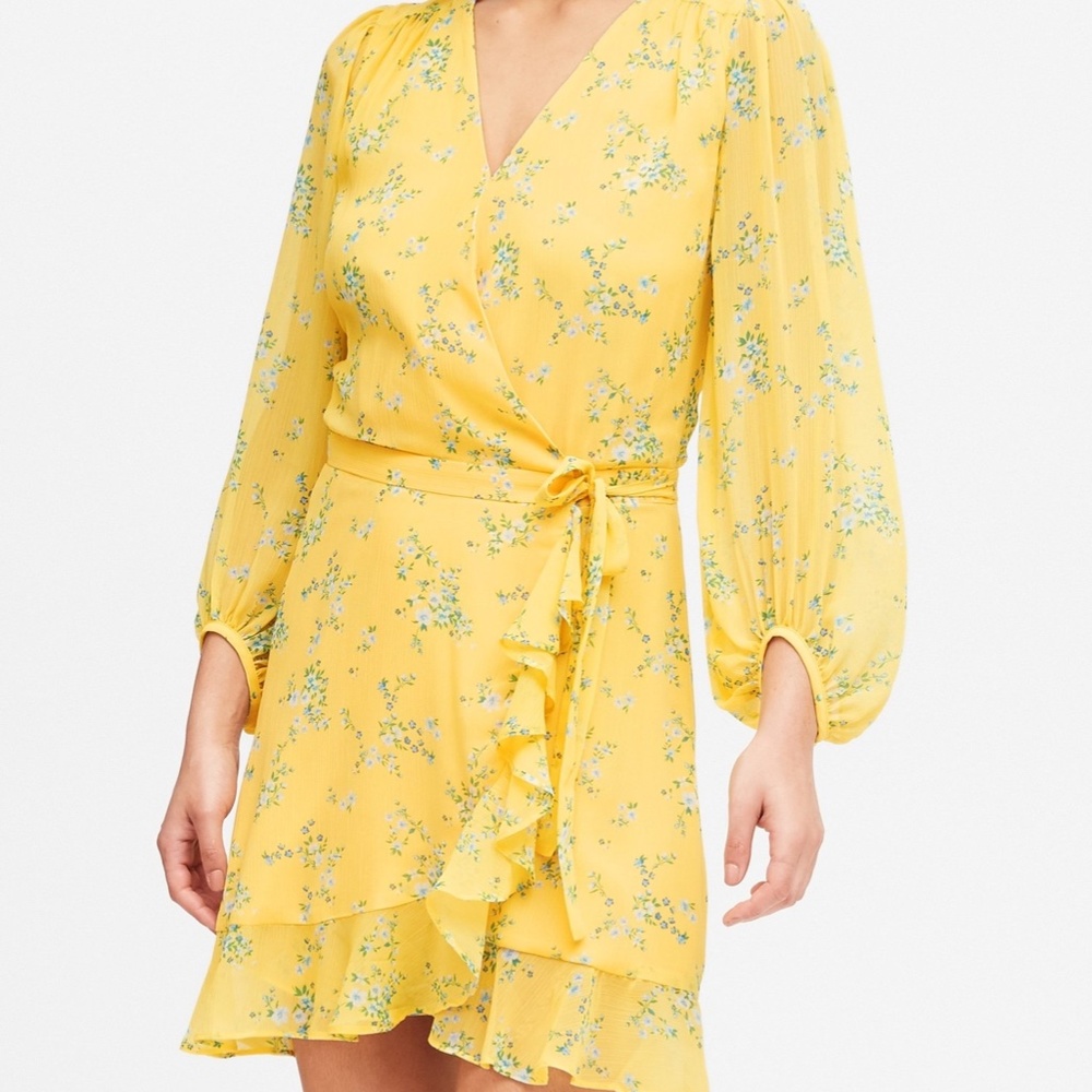 Banana Republic Ruffle-Wrap Dress